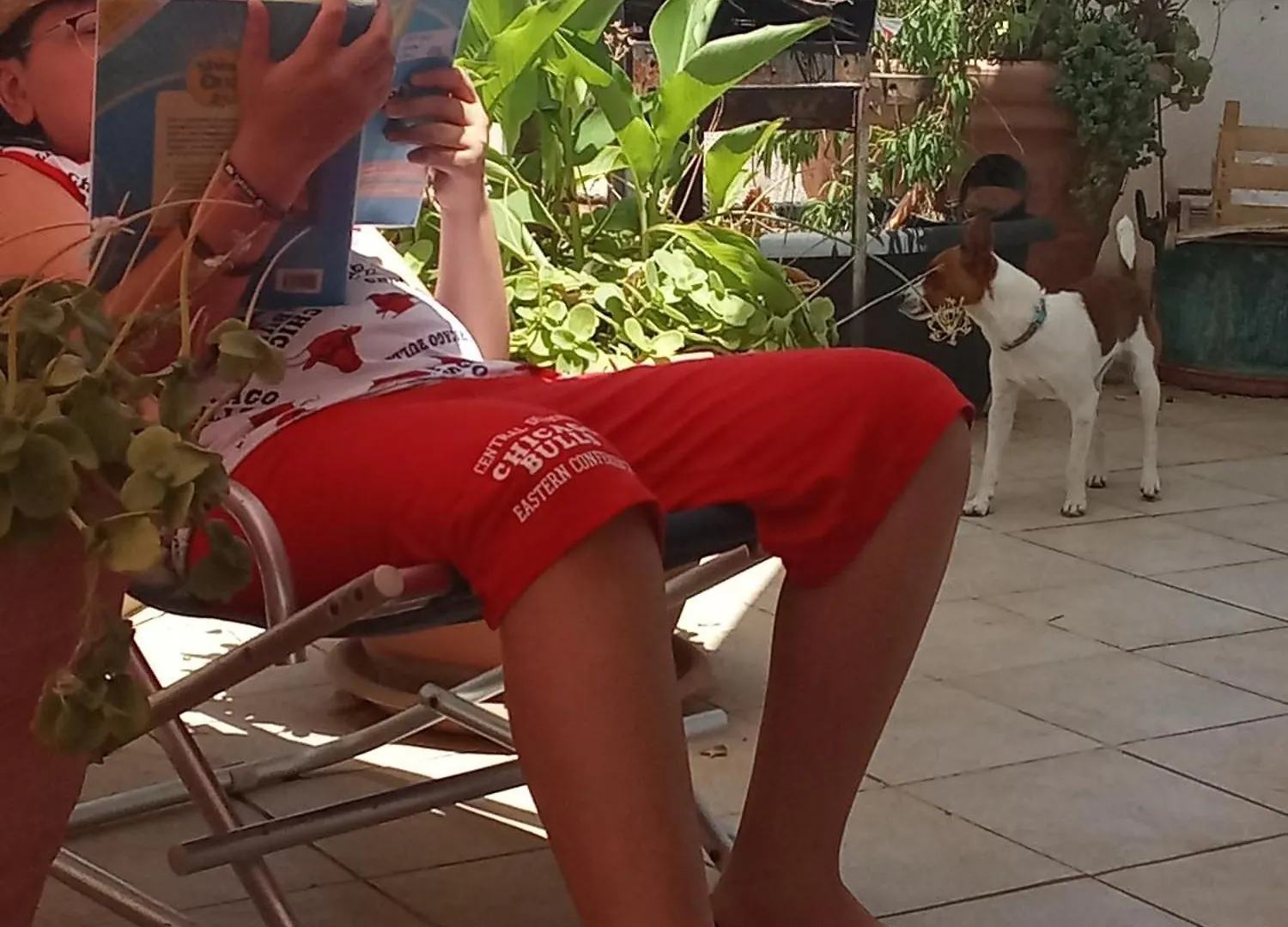 Homestay Terrazza Mare Mondello Apartment Palermo
